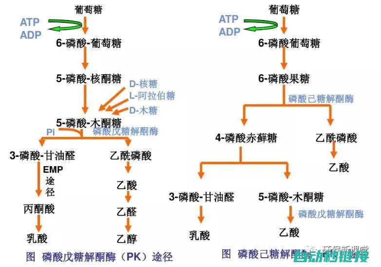 深入了解EDS程序的核心功能与优势 (深入了解二战日军伙食)