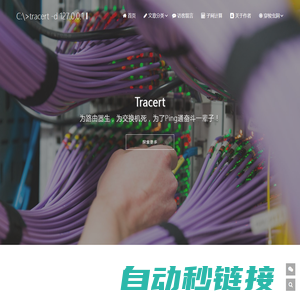 Tracert - 为路由器生，为交换机死，为了Ping通奋斗一辈子！