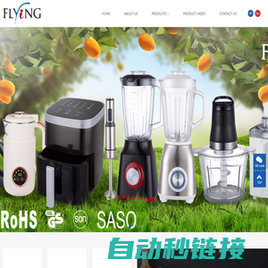 Flying Electronic Co., Ltd.